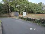Residential Plot near Infopark