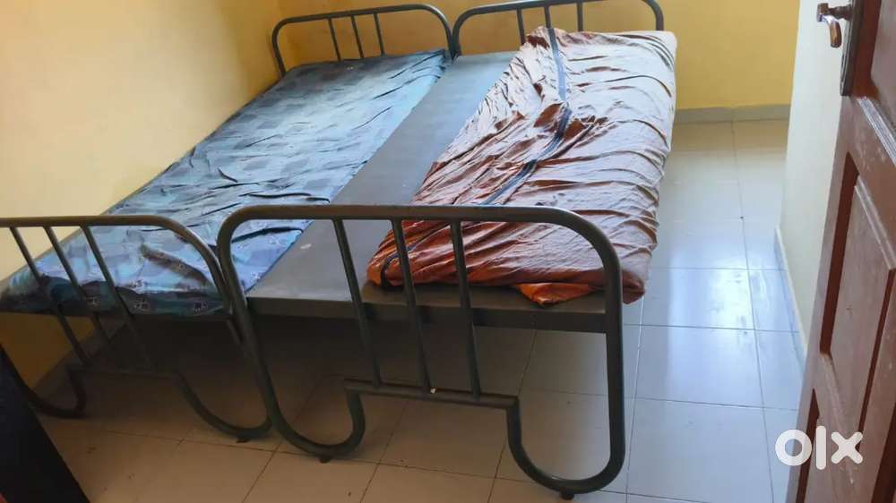 Hostel cot
