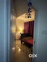 I need a roommate ,if any girl is interested then connect me