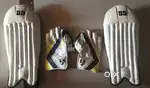 Ss wicket keeper bad and sg wicket keeping gloves