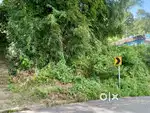 Beautiful land on sale road side general land