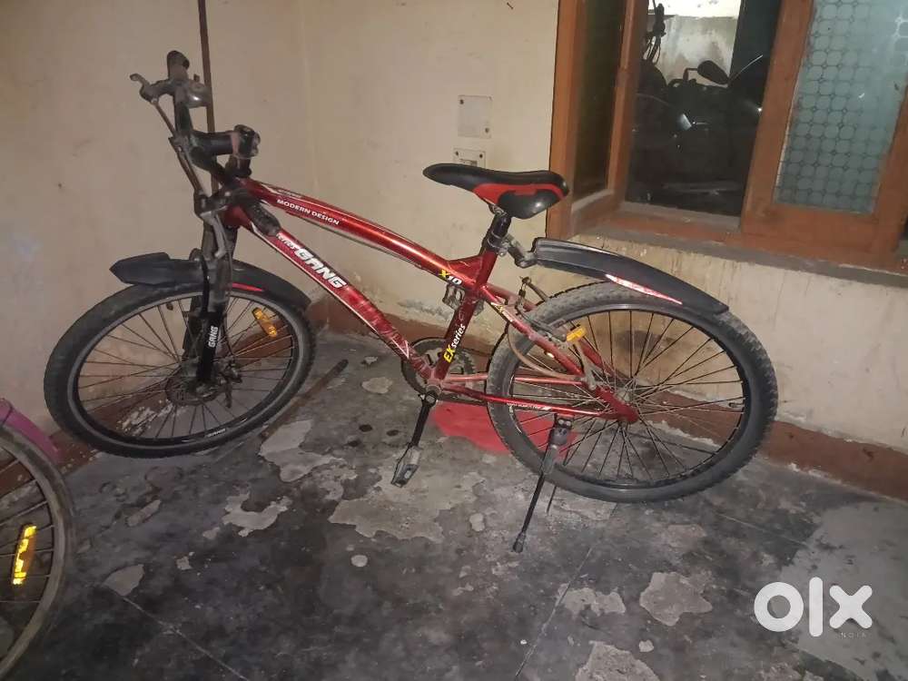 Gang bicycle