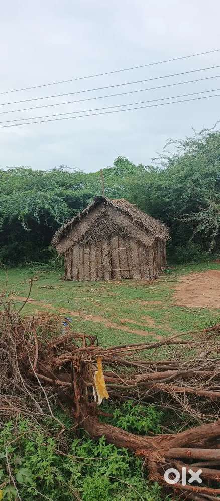 My land for sale