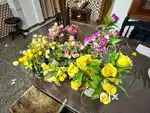 Flowers for urgent sale