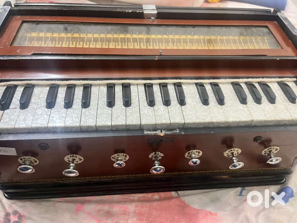 Harmonium musical instrument