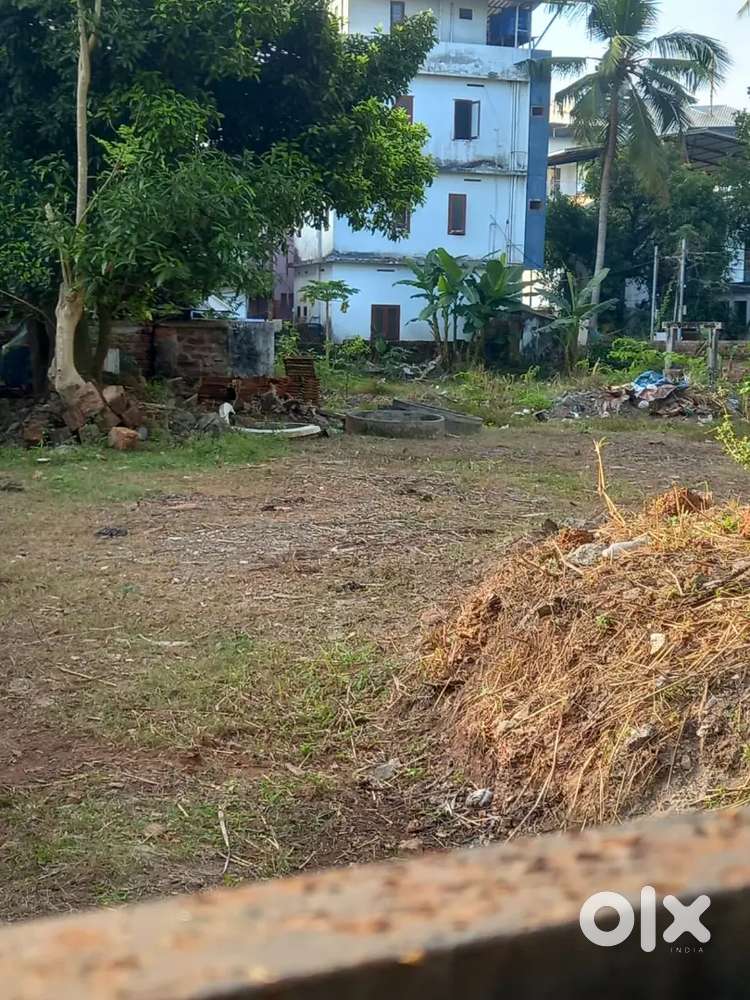 36 cents land for sale in panikkar road 25 lakh per cent
