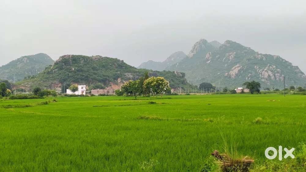 Residential+commercial