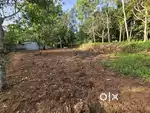 27 Cents Land for sale, Reethapuram, Colachel