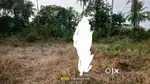 Commercial  land