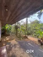 125 cent of land for sale near chemperi town (price negotiable)