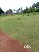 Plot nearby LT Colony