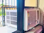 Blue-Star Window AC - 1 Ton