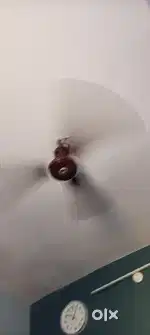 Ceiling Fan