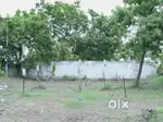 DREAM LAND AT RATE NEAR OMR