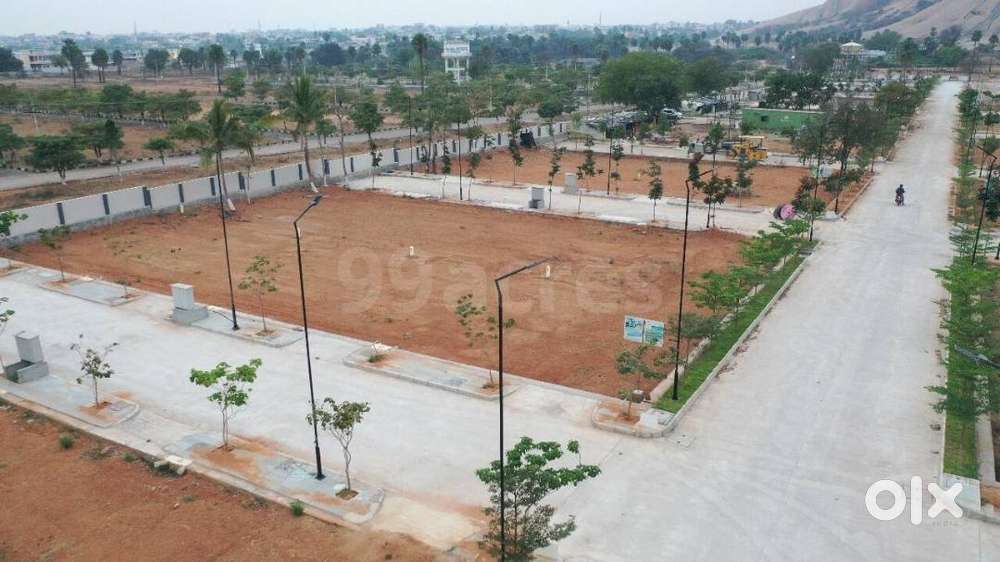 Celebrate with Land! Plots Near Top Industries