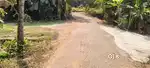 5cent house plot near pukkatupady  busroot
