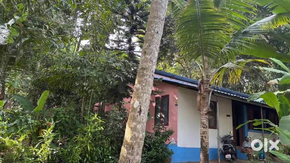 House and 10 cent plot for sale