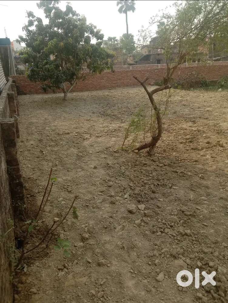 Plot in dumra near shankar chowk garihya tola