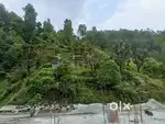 Assam lingzey, Pakyong district,near Chief minister model school