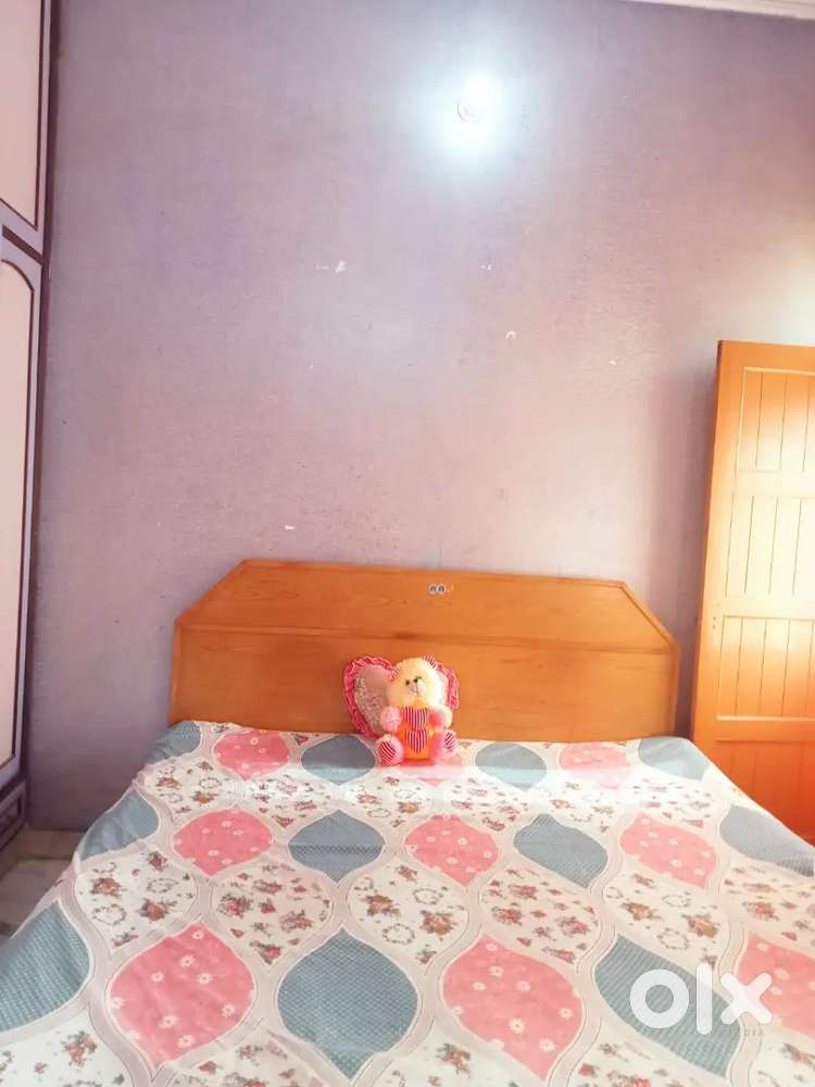 Need female roomate urgent