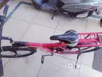 Roland Bicycle