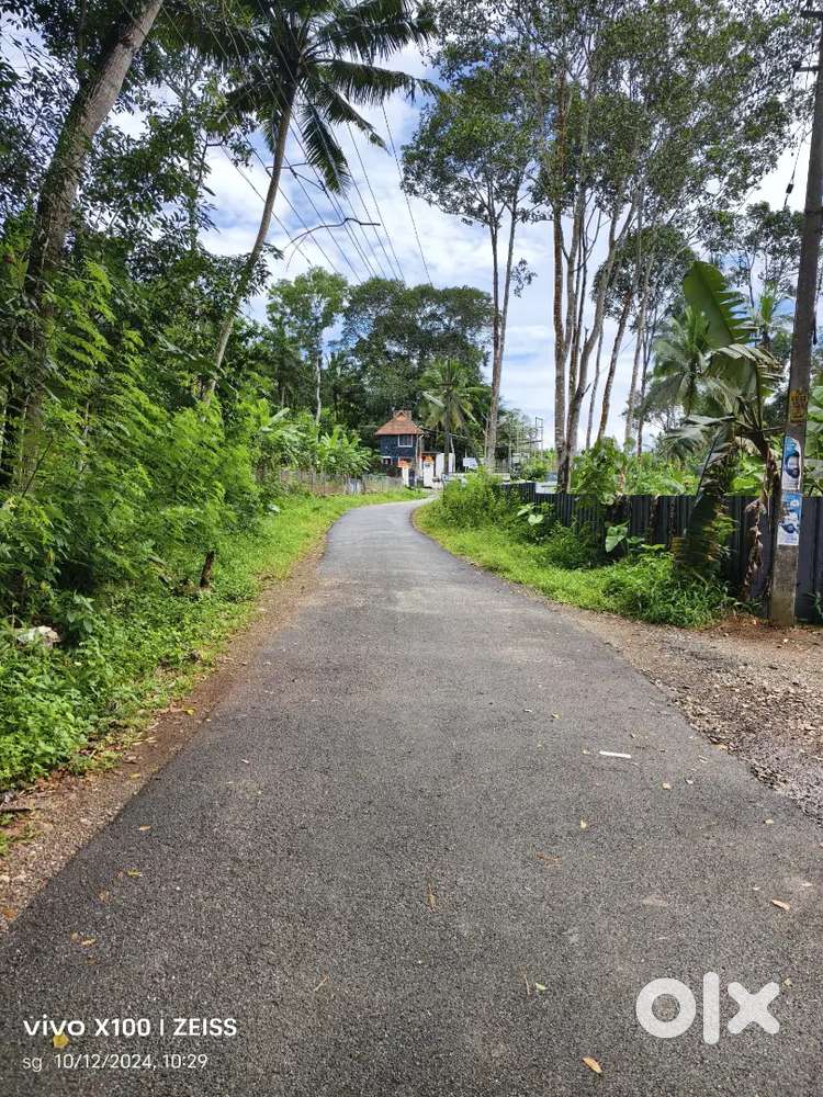 3.5/5 cent അല്ലെങ്കിൽ 8.5 സെന്റ് Housing plot ഒരുമിച്ച് വിൽപ്പനയ്ക്ക്