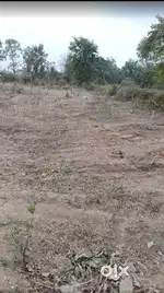 A development plot sale