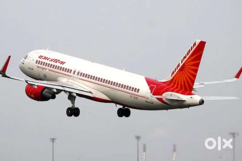 Fresher & Experience Candidates Apply in Airport Driver and Staff