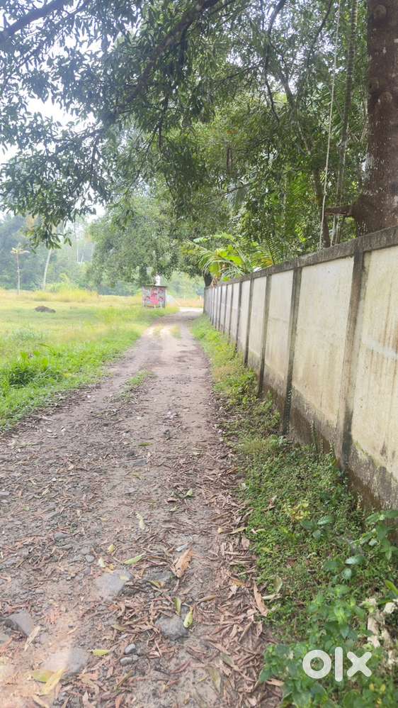 Vayiyambalm padinjar 9 cent per 2:30 lakh