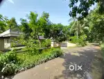 30 cent Kuruppampady.Tar road frontage. Plot and Old house.