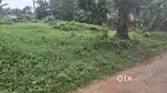For sale land at kumbanad