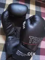 Boxing gloves and Punching bag