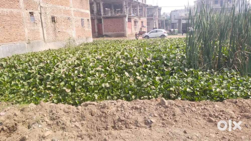 Power of Attorney / Registery