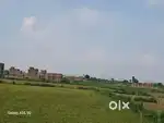 Plots in Jhalwa