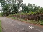 ചിരം ചിറ 25 cent house plot.2.75 .lakh.