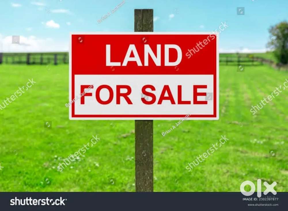 Chaitanya school near DTP site sale