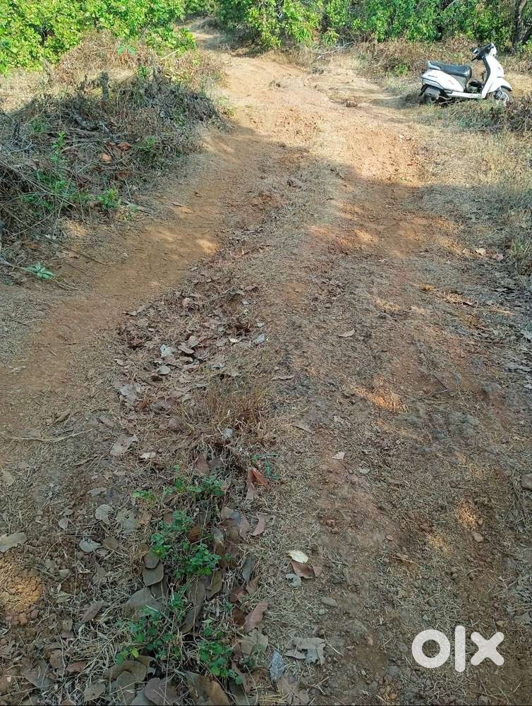 Agricultural/Orchard plot for sale in Cola, Canacona Goa