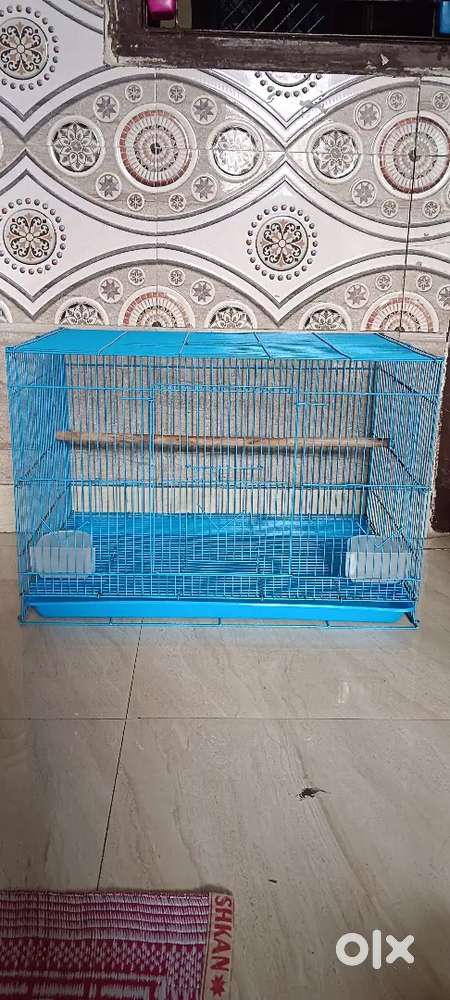 Birds cage