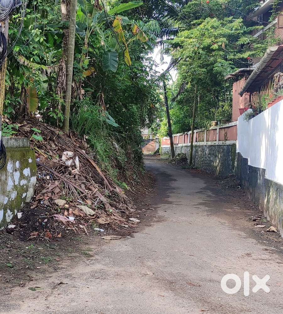 10 Cent Plot near Changnassery Bypass
