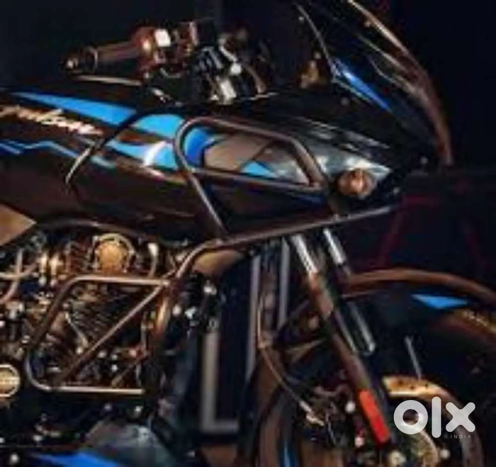 Pulsar 220 ADV crash gaurd