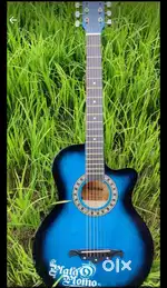 Medellin

MED-BLU-C Acoustic Guitar Linden Wood Rosewood  (Blue)