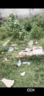 Plot on medical road