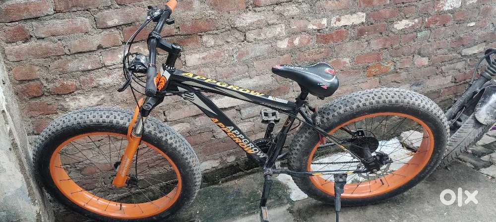 Fat Bike ( Bicycle)