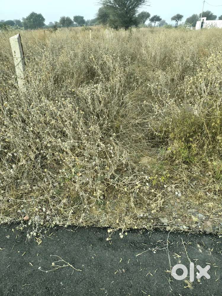 हाइवे के पास ,40  फुट रोड़ पर