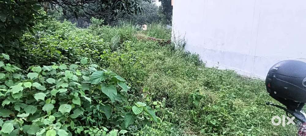 20*35 (700)Sq feet Area