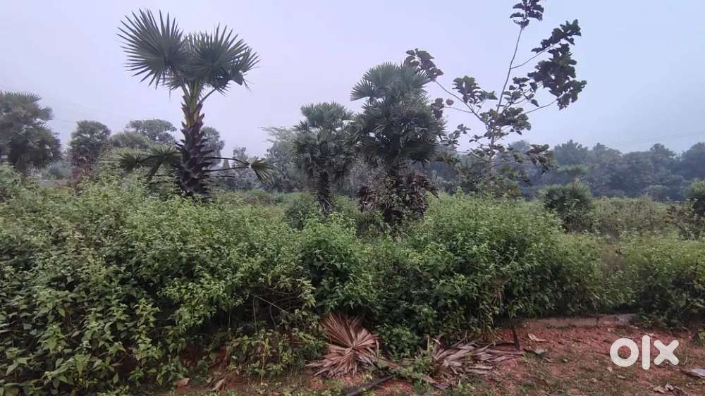 Kothavalasa 167sqyrds plot
