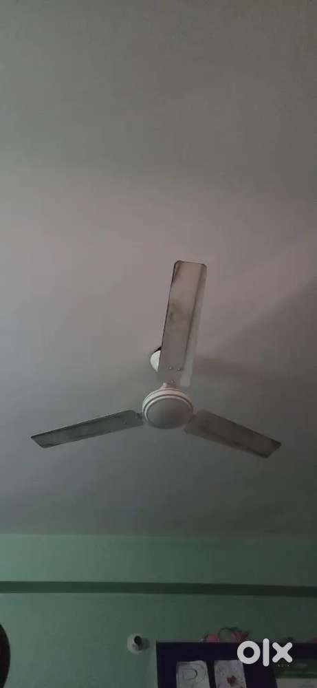 Ceiling fan