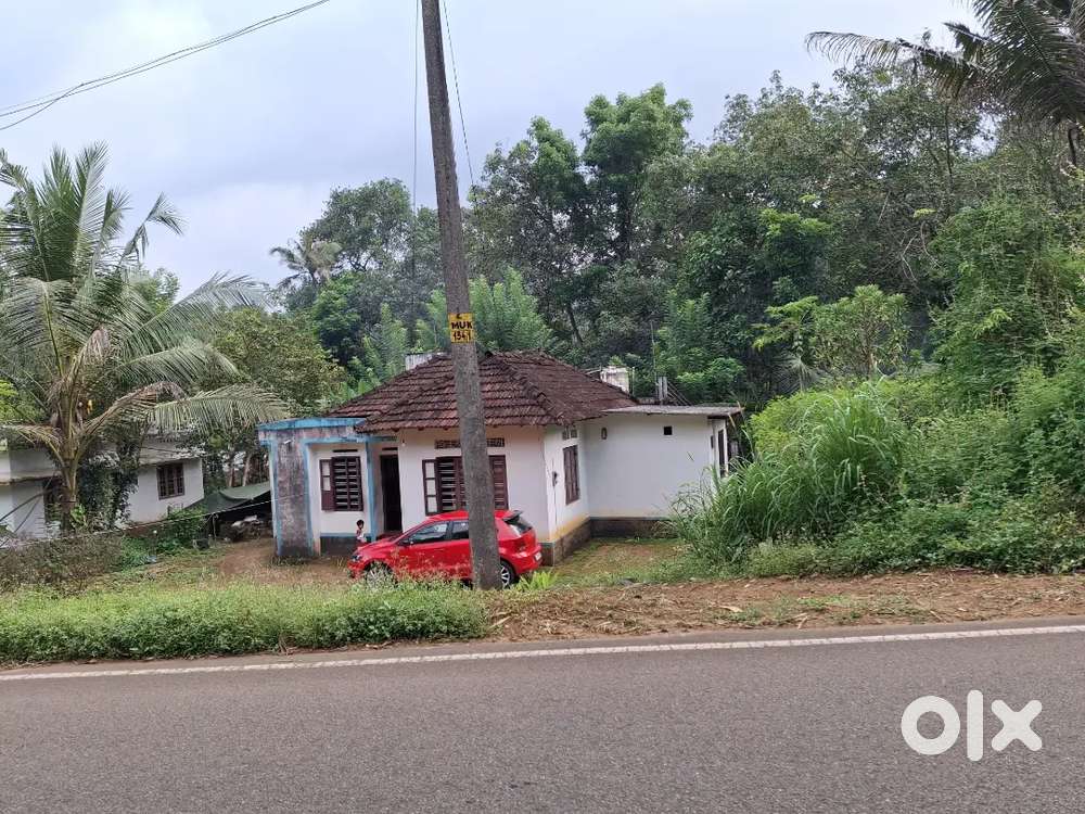 60cent plot with House 1500sqft for sale At Mukkoothara