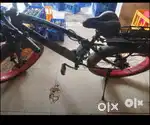 Jaguar a bicycle