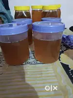 Pure honey available at 500 rs per kg